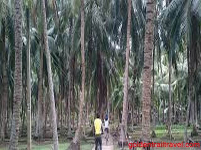 Mekong Delta Cycling Tour from Vinh Long, Can Tho 3 Days